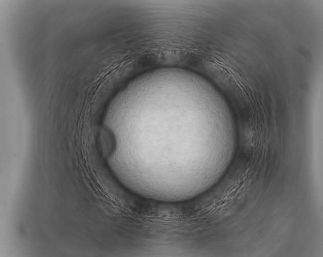 X0000113200865200909171512