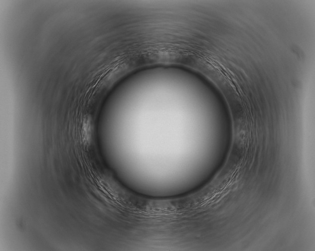 X0000113200866200909171512