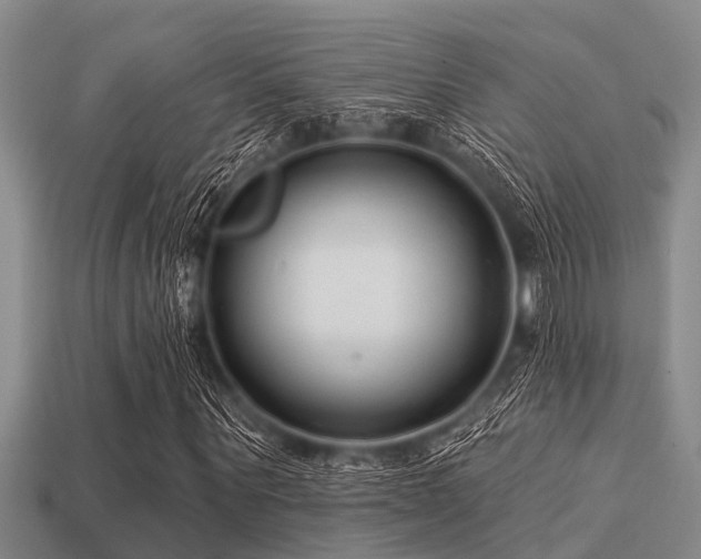 X0000113200867200909171512