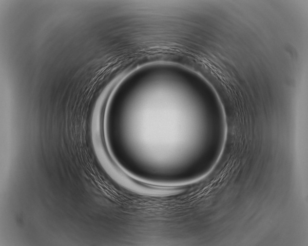 X0000113200868200909171512