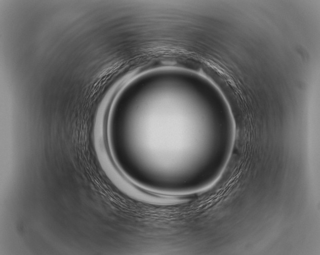 X0000113200869200909171512