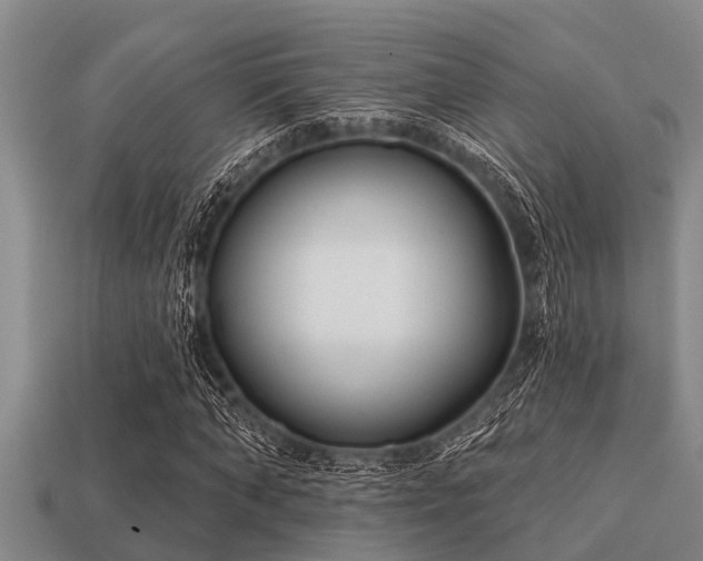 X0000113200870200909171512