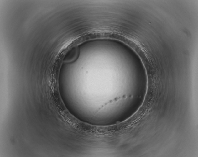 X0000113200871200909171512