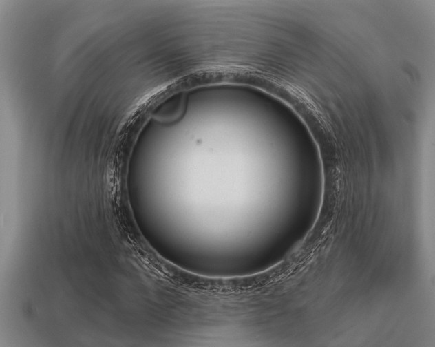 X0000113200872200909171512