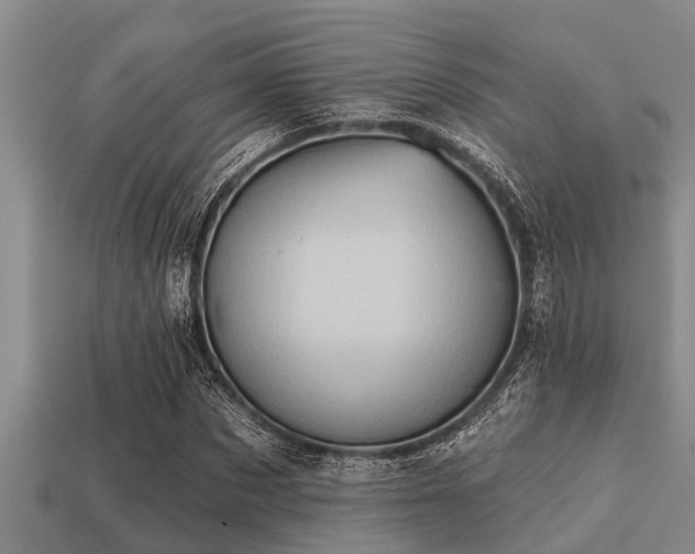 X0000113200873200909171512