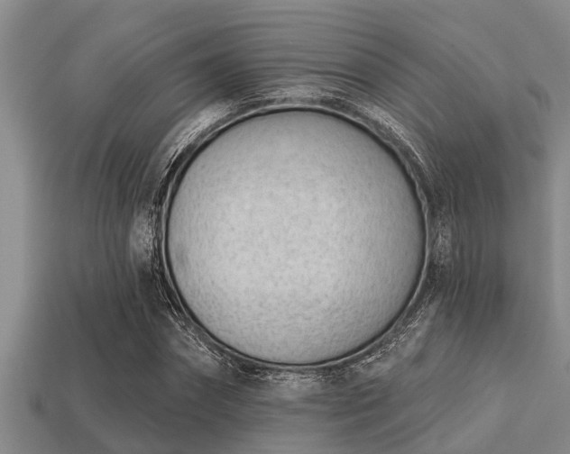 X0000113200874200909171512