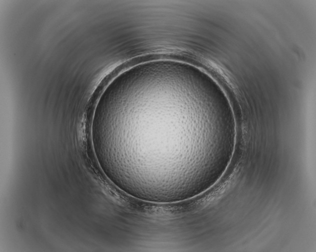 X0000113200875200909171512