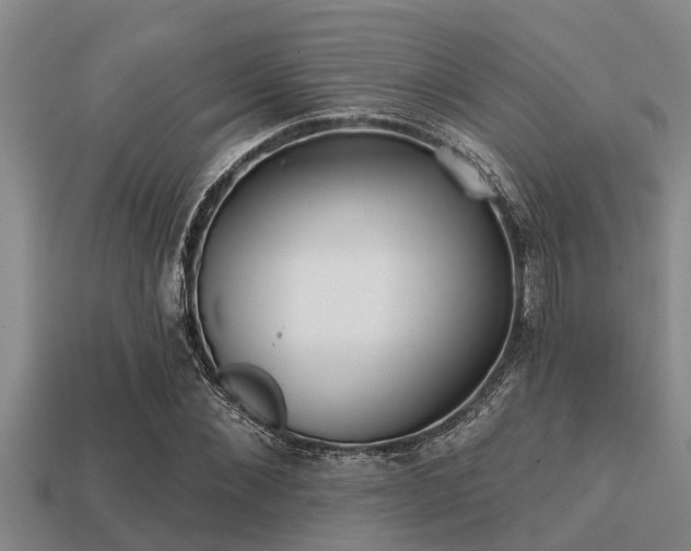 X0000113200876200909171512