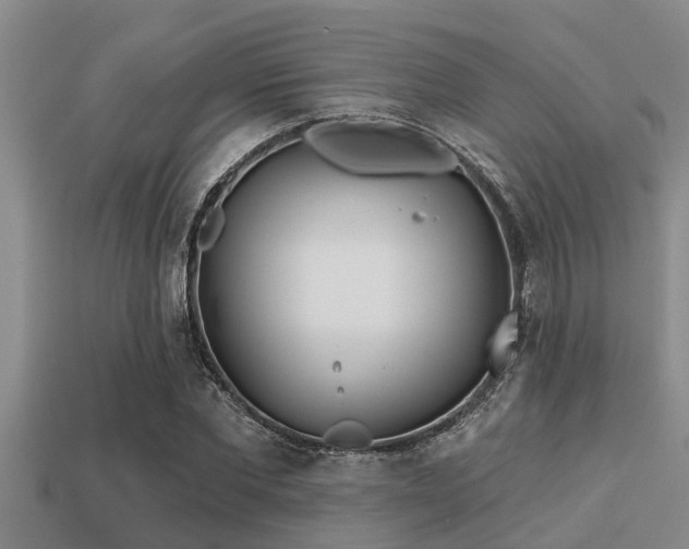 X0000113200877200909171511