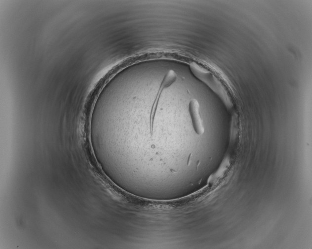 X0000113200878200909171511