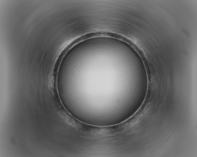 X0000113200879200909171511