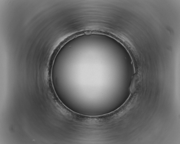 X0000113200880200909171511