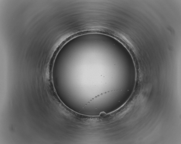 X0000113200883200909171511