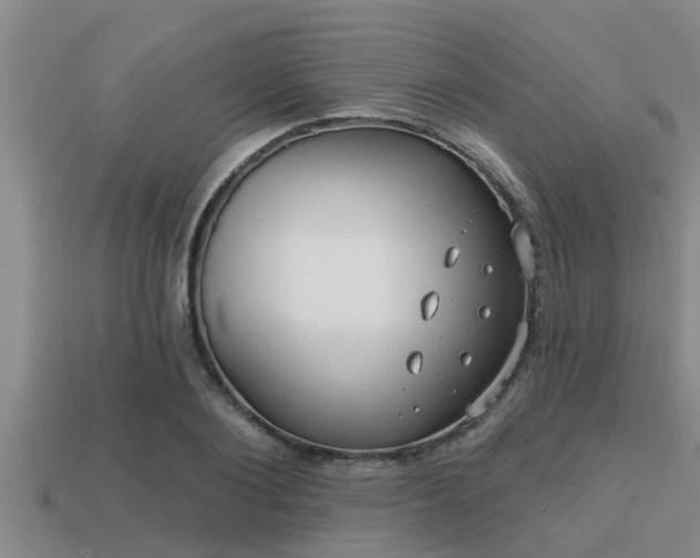 X0000113200884200909171511