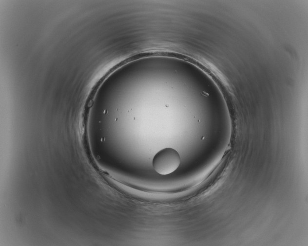 X0000113200885200909171511