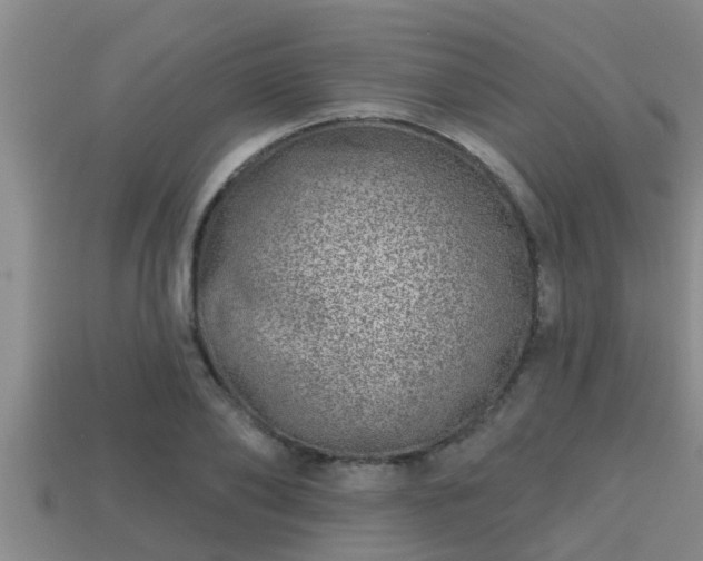 X0000113200886200909171511