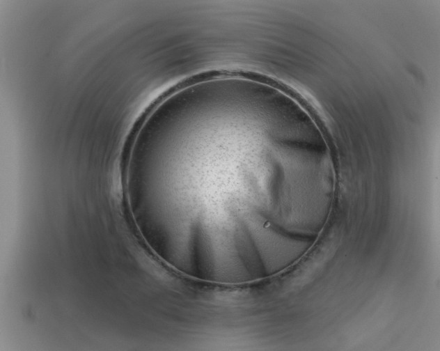 X0000113200887200909171511