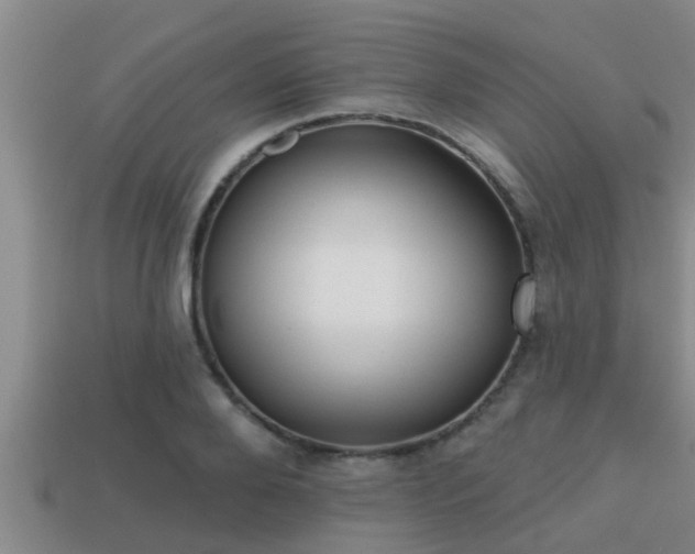 X0000113200888200909171511