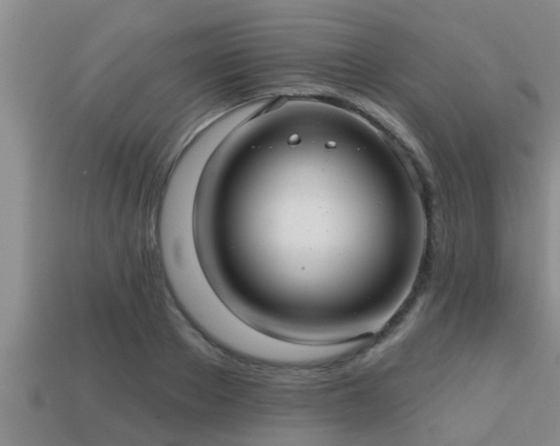 X0000113200889200909171511