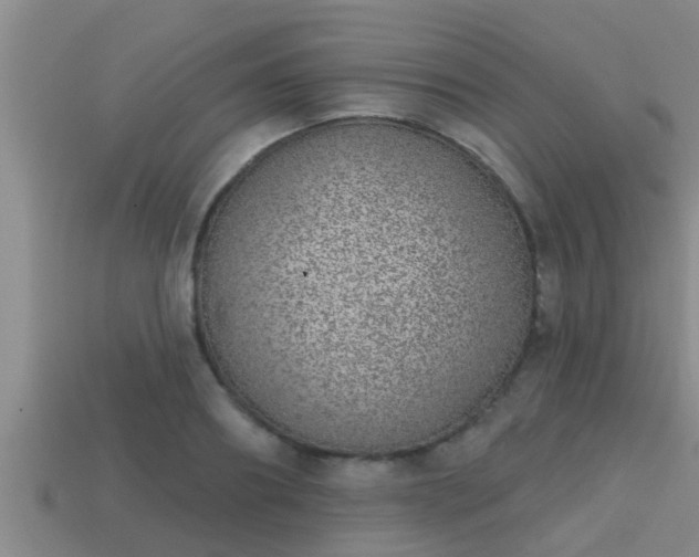 X0000113200890200909171511