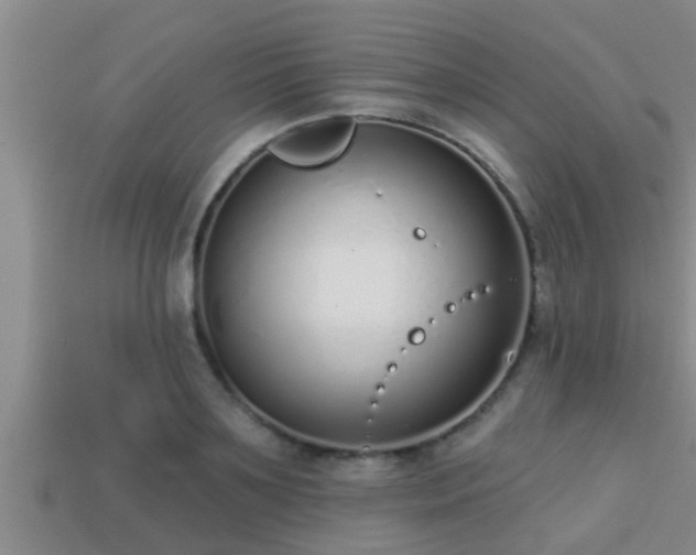 X0000113200891200909171511