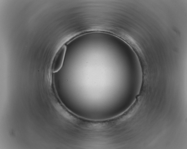 X0000113200892200909171511