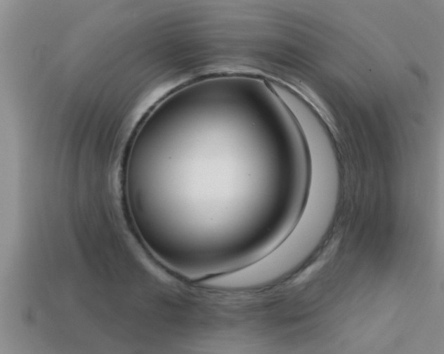 X0000113200893200909171511