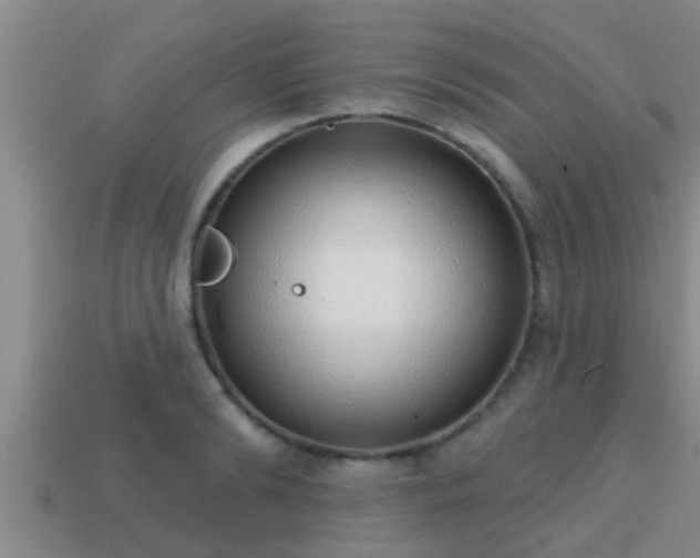 X0000113200894200909171511