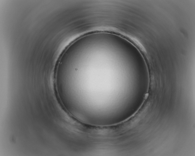 X0000113200895200909171511