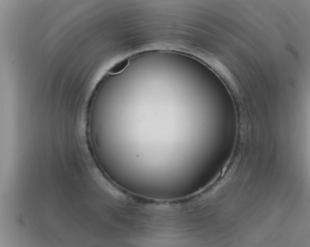 X0000113200896200909171511