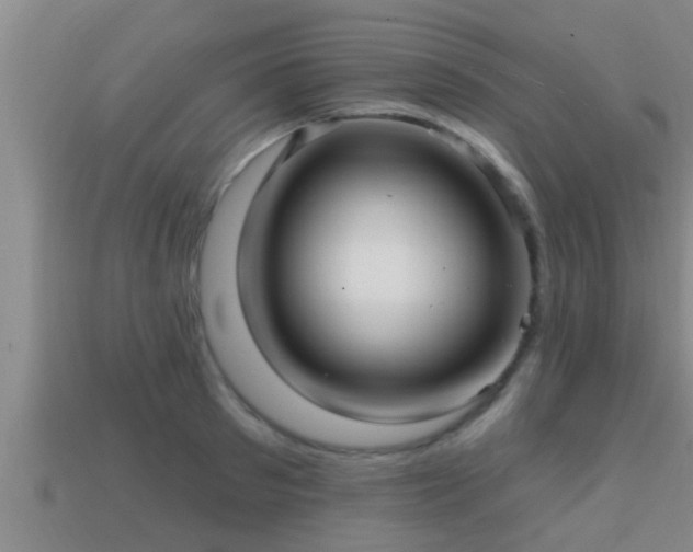 X0000113200897200909171511