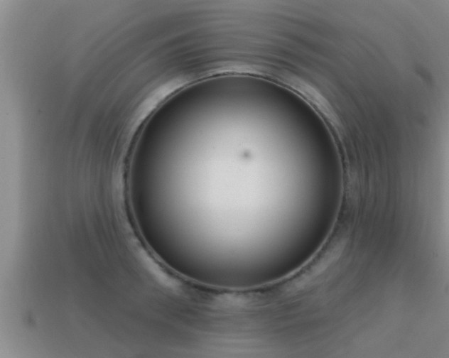 X0000113200898200909171511