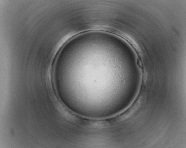 X0000113200899200909171511