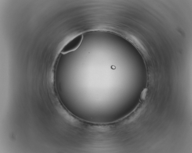 X0000113200900200909171511