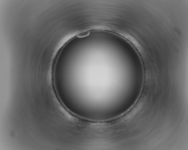 X0000113200902200909171511