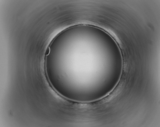 X0000113200903200909171511