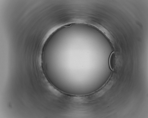 X0000113200904200909171511