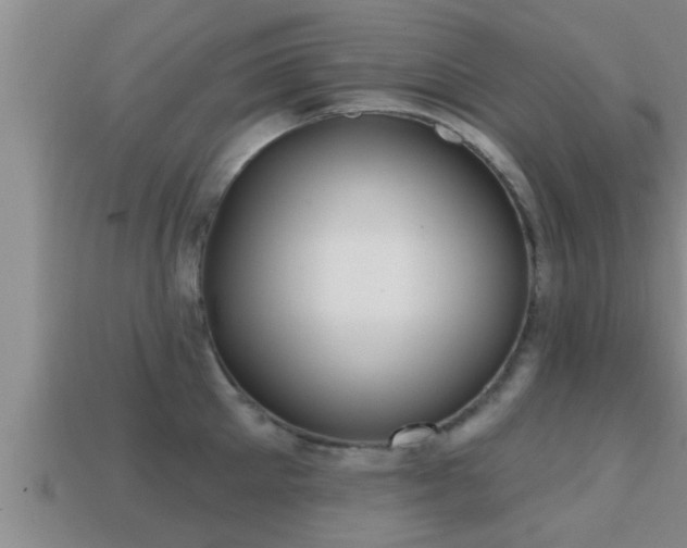 X0000113200905200909171511