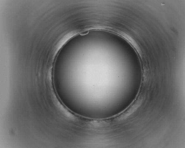 X0000113200906200909171511