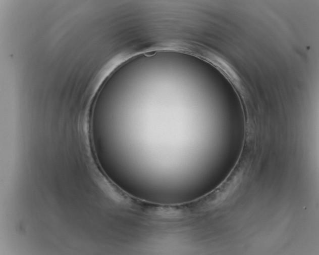 X0000113200907200909171511