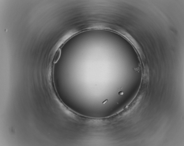 X0000113200909200909171511