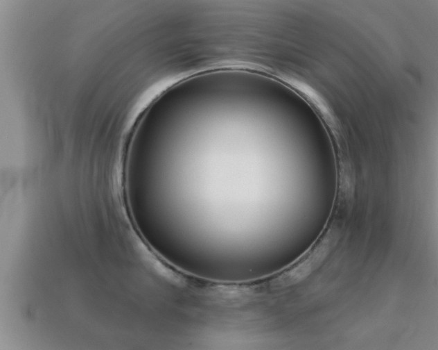 X0000113200910200909171511