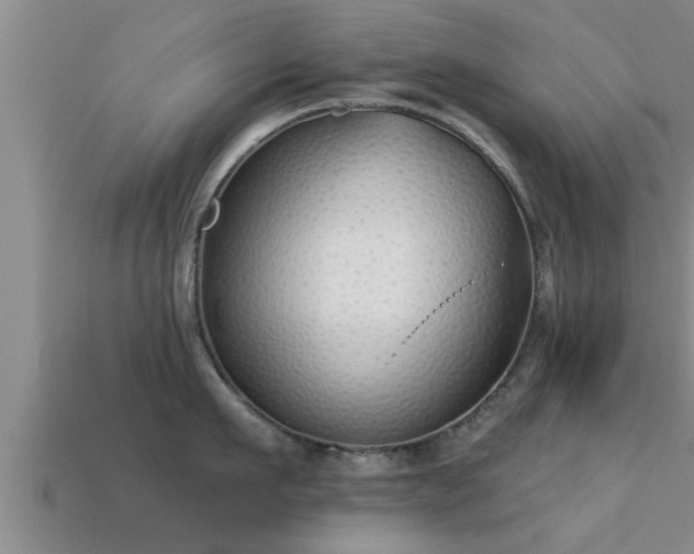 X0000113200911200909171511