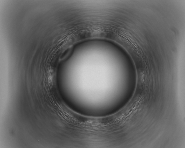 X0000113200914200909171510