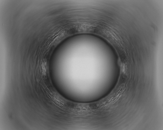 X0000113200915200909171510