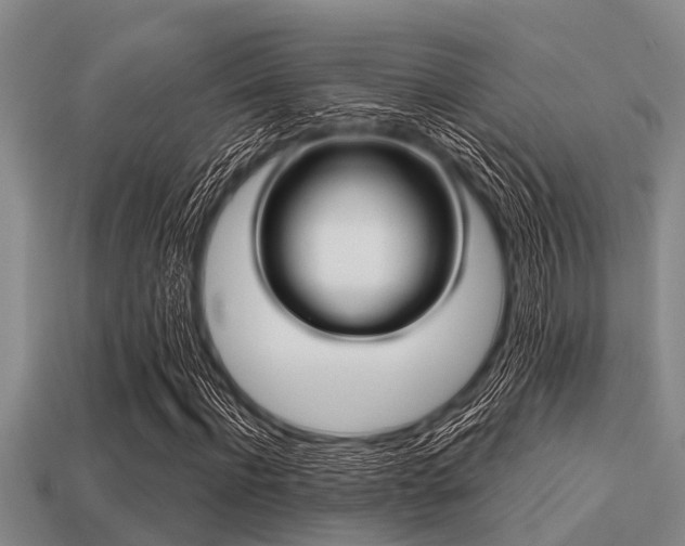 X0000113200916200909171510