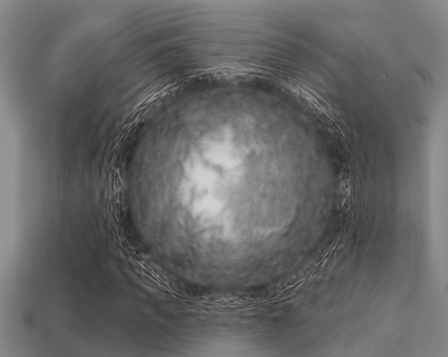 X0000113200917200909171510