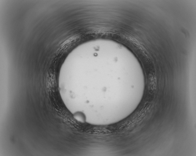 X0000113200918200909171510