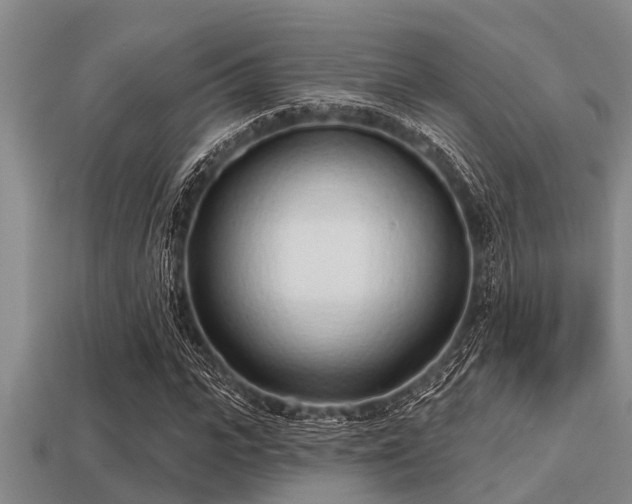 X0000113200919200909171511