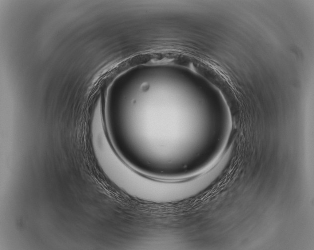 X0000113200920200909171511